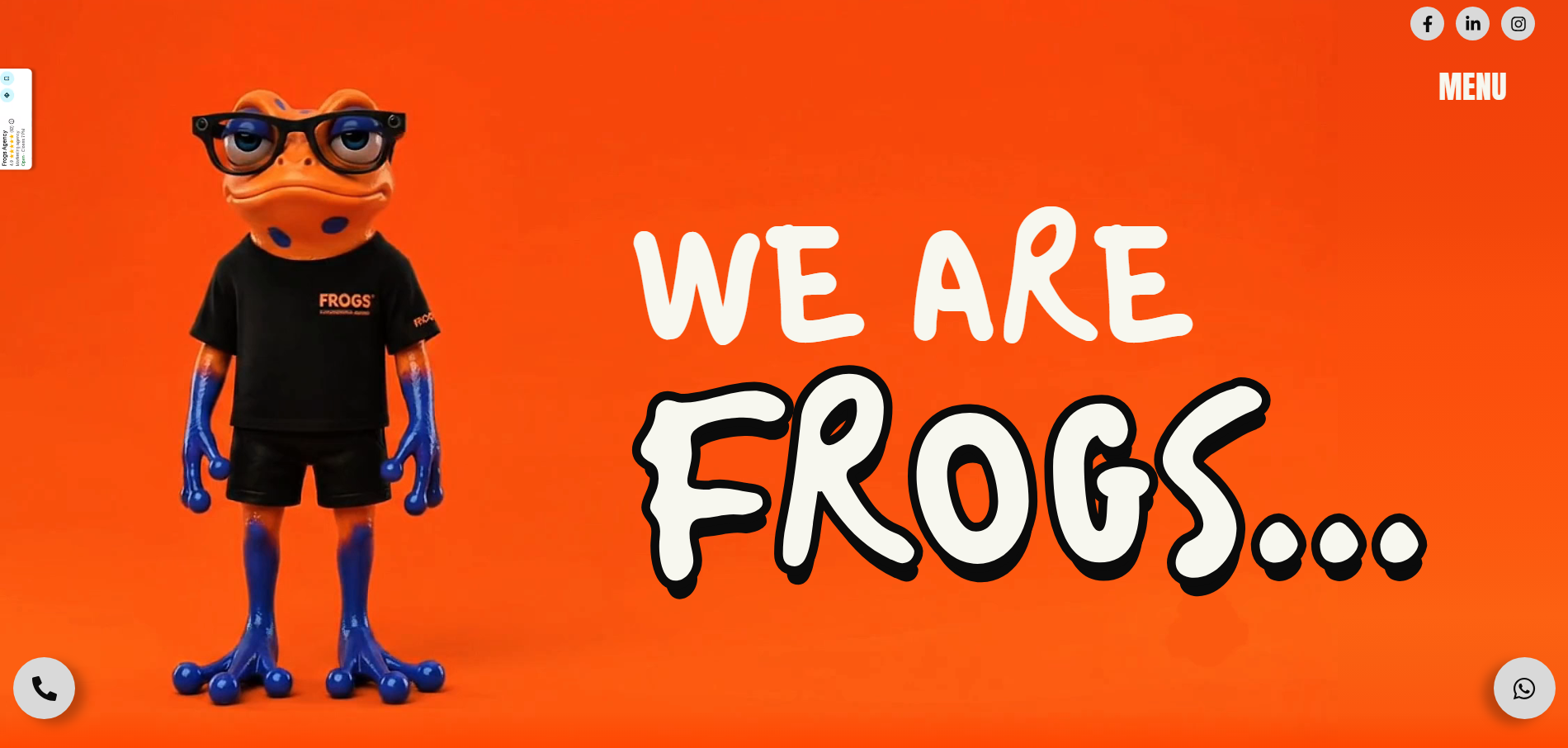 Frogs Media Agency